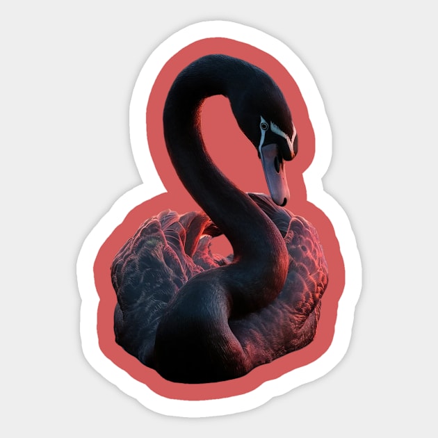 Black Swan with a Striking Red Glow on its Feather Sticker by animegirlnft